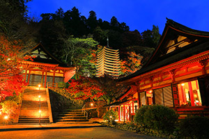 談山神社 紅葉 ライトアップ