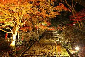 室生寺 紅葉 ライトアップ 奈良