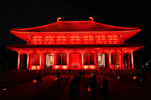 興福寺 中金堂 ライトアップ
