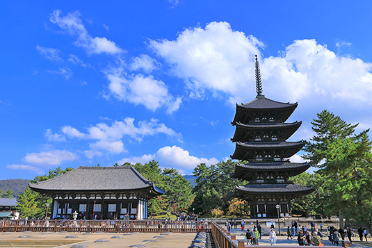 �������̎ʐ^