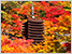 奈良絶景紅葉