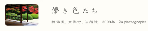 ���s�g�t�ʐ^�W �u �R���F���� �v