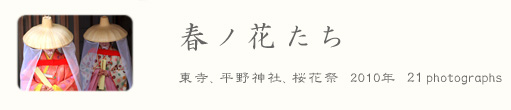 ���s���ʐ^�W �u �t�m�Ԃ��� �v