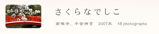 ���s���ʐ^�W �u ������Ȃł��� �v