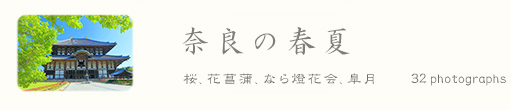 奈良写真集  「 奈良の春夏 」 　桜　花菖蒲　なら燈花会　さつき　紫陽花　蓮