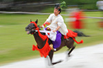 葵祭　上賀茂神社　社頭の儀　走馬の儀