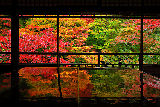 京都　秋　高画質写真