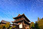 京都の秋　東福寺　いわし雲