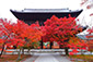 京都　南禅寺の秋