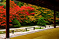 京都の秋　天授庵　紅葉庭園