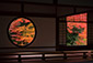 京都の秋画像　源光庵　悟りの窓　迷いの窓