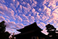 京都の秋　ひつじ雲