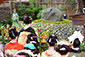 京都の秋行事　安井金比羅宮　櫛祭