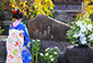 京都　祇園白川　かにかくに祭
