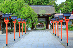 平野神社　茅の輪くぐり