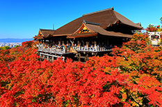 京都　紅葉　画像