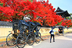 京都の秋　紅葉