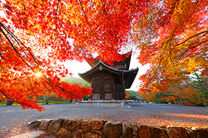 京都紅葉　南禅寺