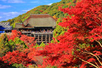 京都の紅葉　清水寺