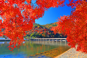 京都紅葉絶景　嵐山　渡月橋