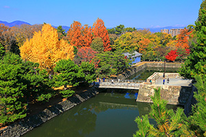 京都観光名所　二条城
