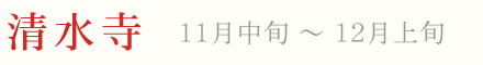 京都 清水寺 紅葉 ライトアップ 11月中旬〜12月上旬