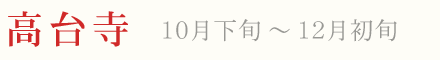 京都 紅葉 ライトアップ 高台寺 プロジェクションマッピング 10月下旬〜12月初旬