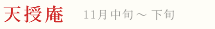 天授庵 紅葉 ライトアップ 11月中旬〜下旬