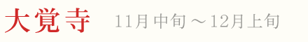 大覚寺 紅葉 ライトアップ 11月中旬〜12月上旬