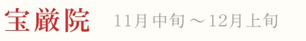 宝厳院 紅葉 ライトアップ 11月中旬〜12月上旬