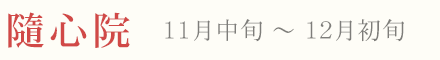 隨心院 紅葉 ライトアップ 11月中旬〜12月初旬
