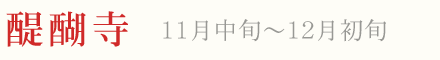 醍醐寺 紅葉 ライトアップ 11月中旬〜12月初旬