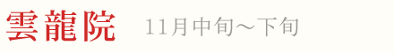 雲龍院 紅葉 ライトアップ 11月中旬〜下旬
