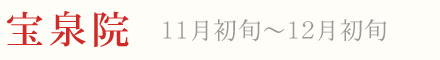 宝泉院 紅葉 ライトアップ 11月初旬〜12月初旬