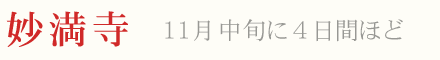 妙満寺 紅葉 ライトアップ 11月中旬に四日間ほど