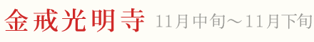 金戒光明寺 紅葉 ライトアップ 11月中旬〜11月下旬