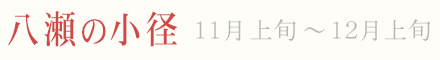 八瀬の小径 紅葉 ライトアップ 11月上旬〜12月上旬