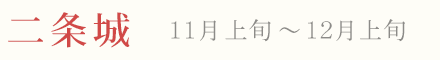 二条城 紅葉 ライトアップ