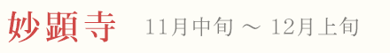 妙顕寺 紅葉 ライトアップ