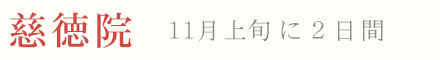 慈徳院 紅葉 ライトアップ