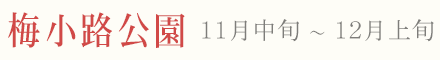 梅小路公園 紅葉 ライトアップ