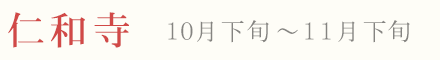 仁和寺 紅葉 ライトアップ 10月下旬〜11月下旬