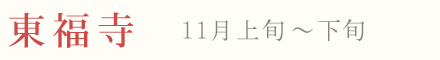 東福寺 紅葉 ライトアップ 11月中旬〜