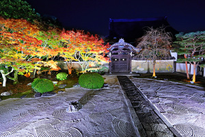 妙顕寺 紅葉 ライトアップ
