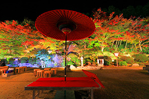 慈徳院 紅葉 ライトアップ