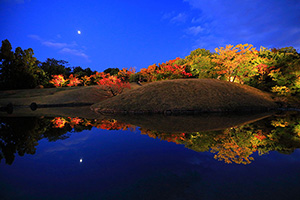 梅小路公園 紅葉 ライトアップ