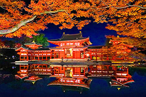 京都紅葉ライトアップ　平等院　高画質画像