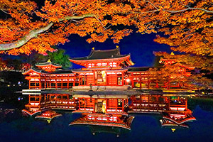 京都紅葉ライトアップ 平等院 高画質画像