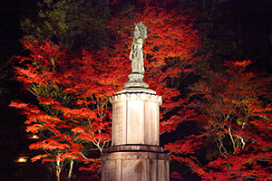 知恩院 紅葉 ライトアップ