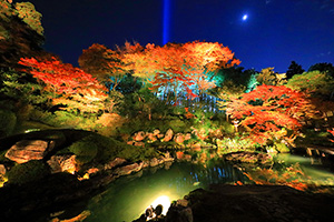 青蓮院 紅葉 ライトアップ